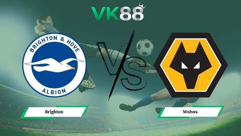 VK88 Nhận định soi kèo Brighton vs Wolves 21h00 ngày 09/05/2026 – Ngoại hạng Anh