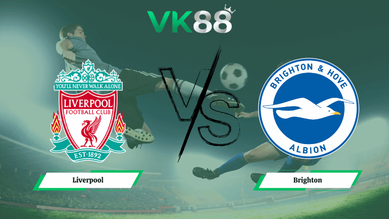 VK88 Nhận định soi kèo Liverpool vs  Brighton 03h00 ngày 15/02/2026 – FA Cup
