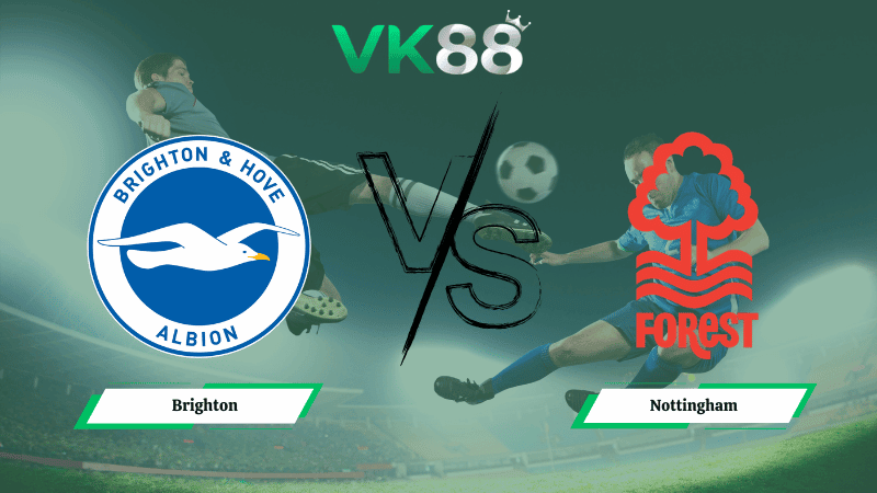 VK88 Nhận định soi kèo Brighton vs Nottingham 21h00 ngày 01/03/2026 – Ngoại hạng Anh